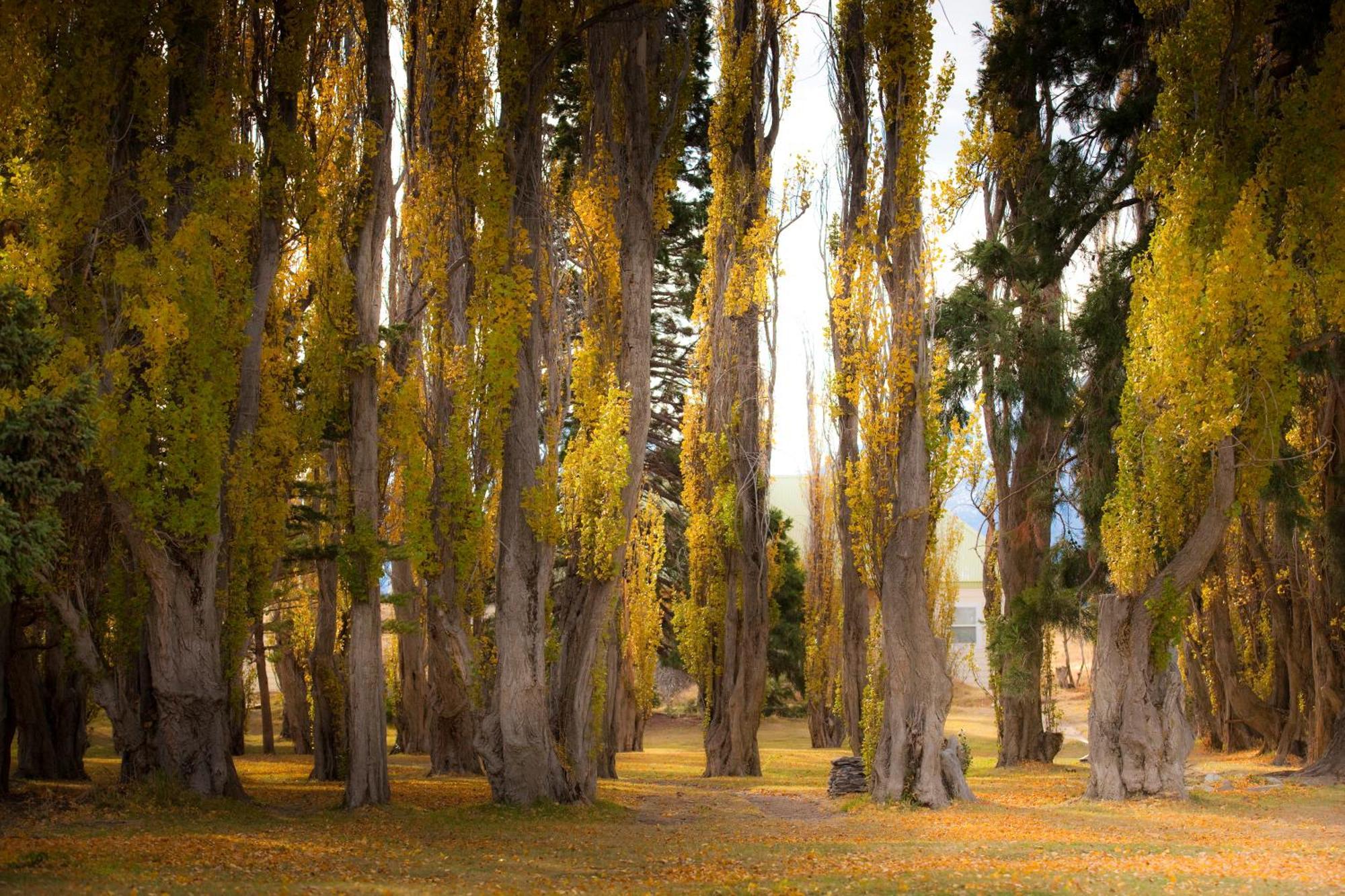 Estancia Cristina Lodge - El Calafate Exterior foto